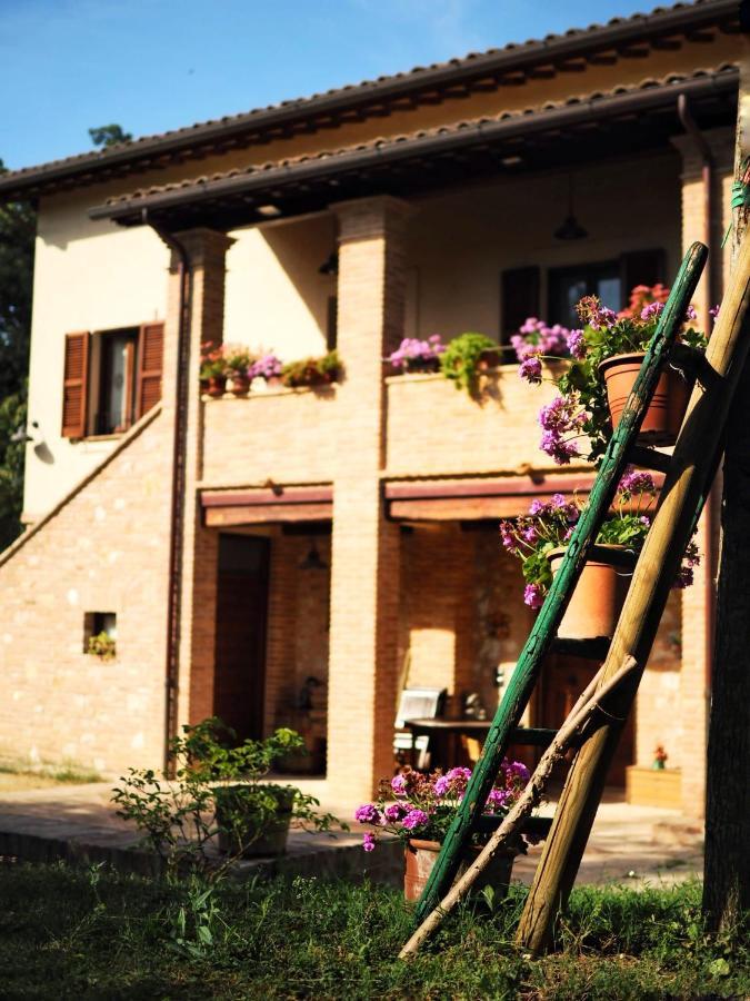 Вилла Arcadia Спелло Экстерьер фото